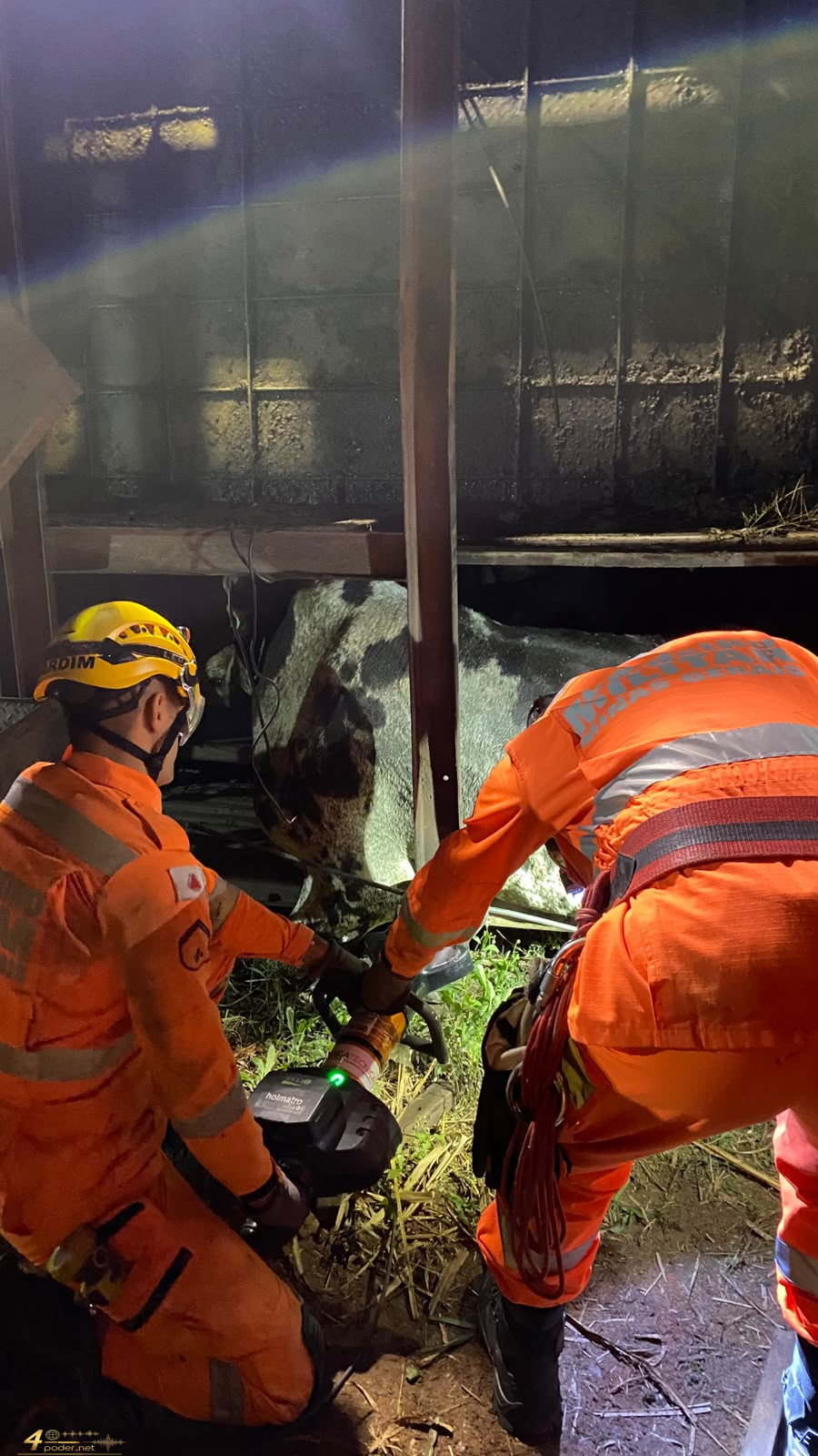 Carreta com carga de bovinos tomba na MG-179 e mobiliza Bombeiros em Alfenas