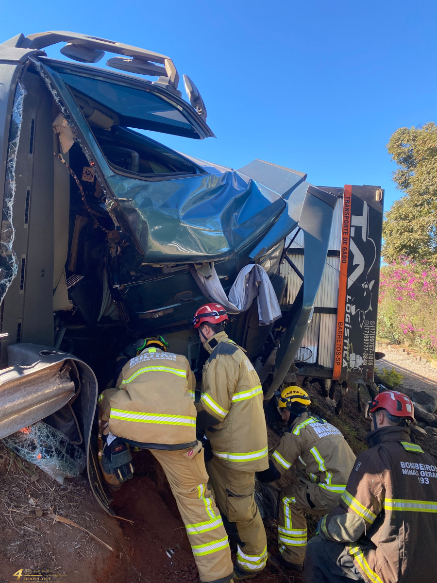 Motorista morre após tombamento de carreta com 75 bovinos na MGC-491