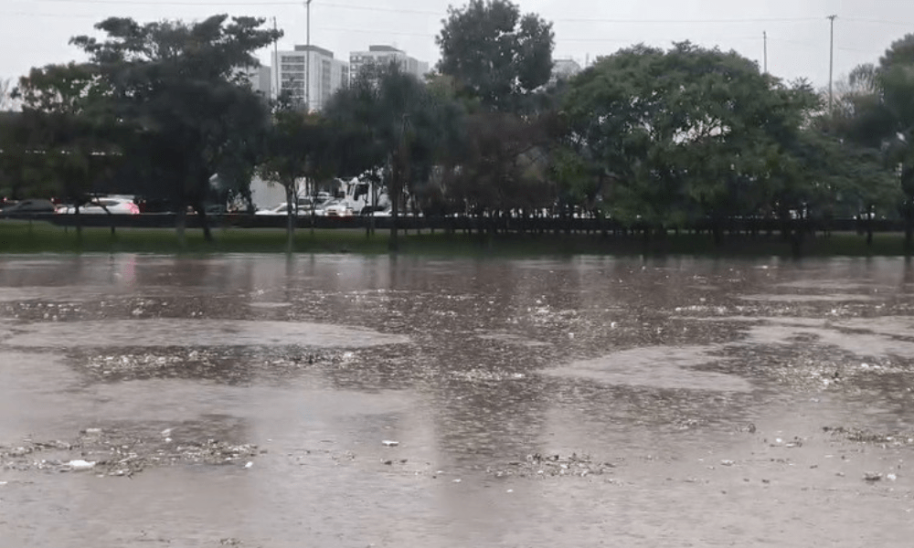Chuvas deixam ao menos 8 mortos e 1 desaparecido na Grande São Paulo
