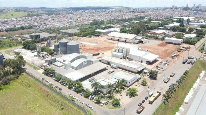 Alfenas e o Exemplo do Grupo Grão de Ouro: Inspirando Nosso Potencial