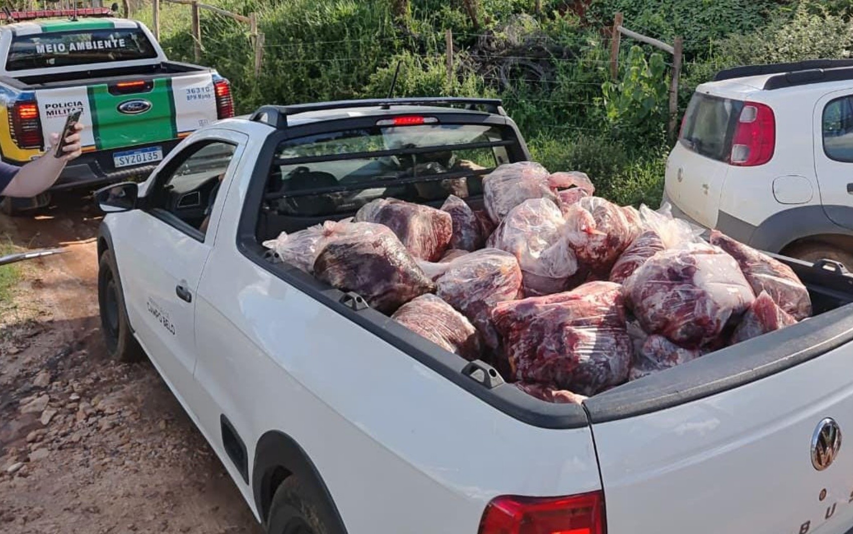 Fiscalização apreende 800 kg de carne de cavalos em abate clandestino no interior de MG