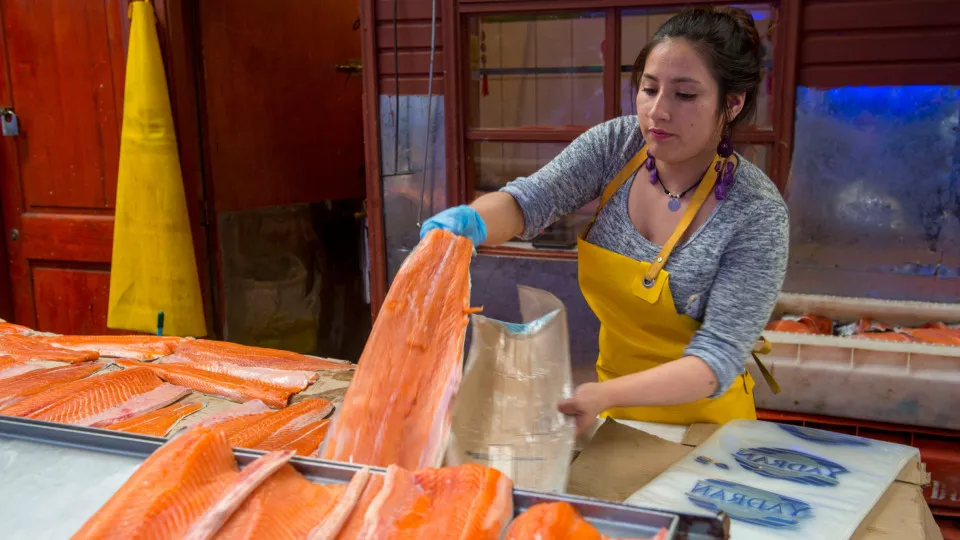 Alimentos que ajudam a combater o refluxo e a azia