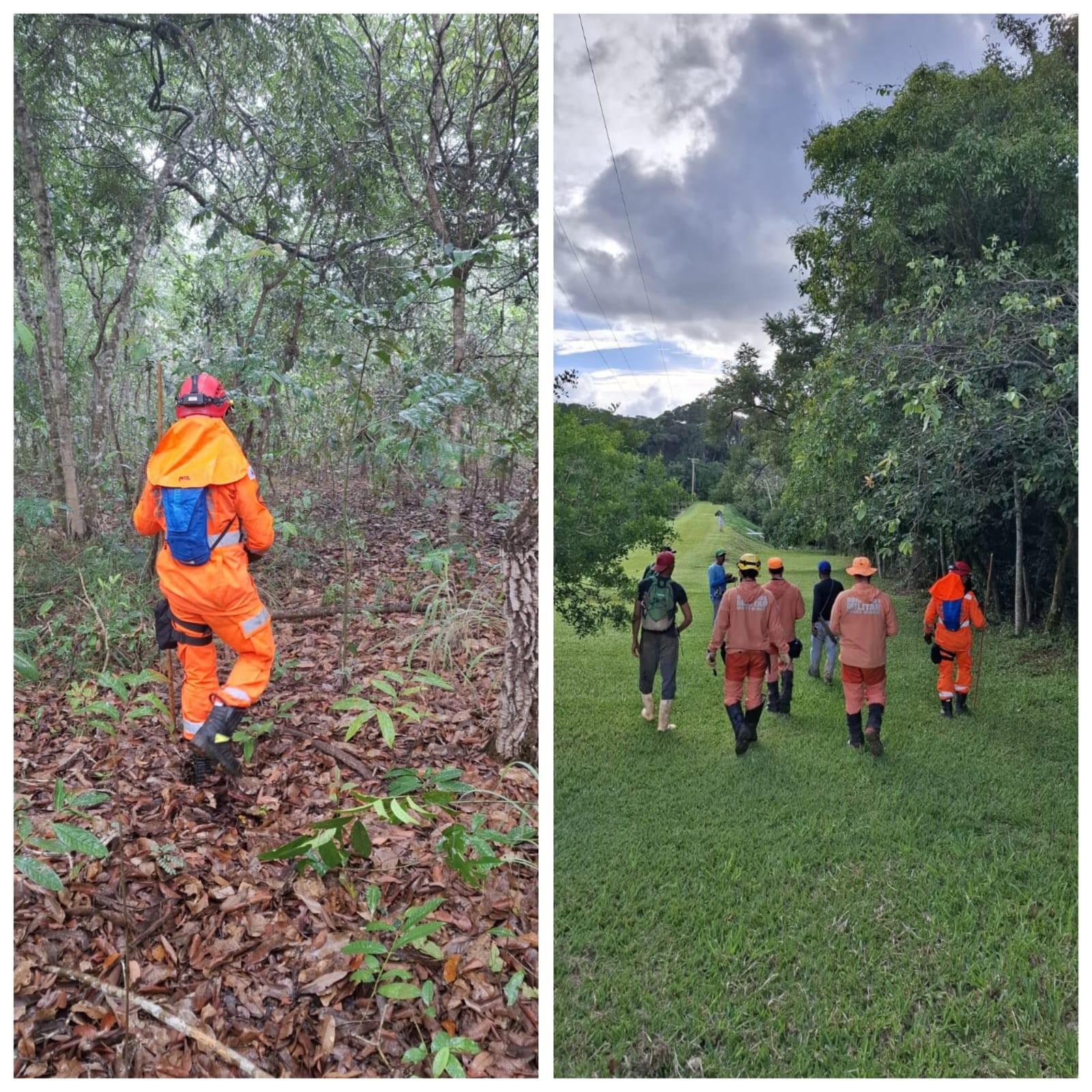 Com apoio de cães farejadores, bombeiros fazem buscas por homem desaparecido em área de mata no Noroeste de Minas