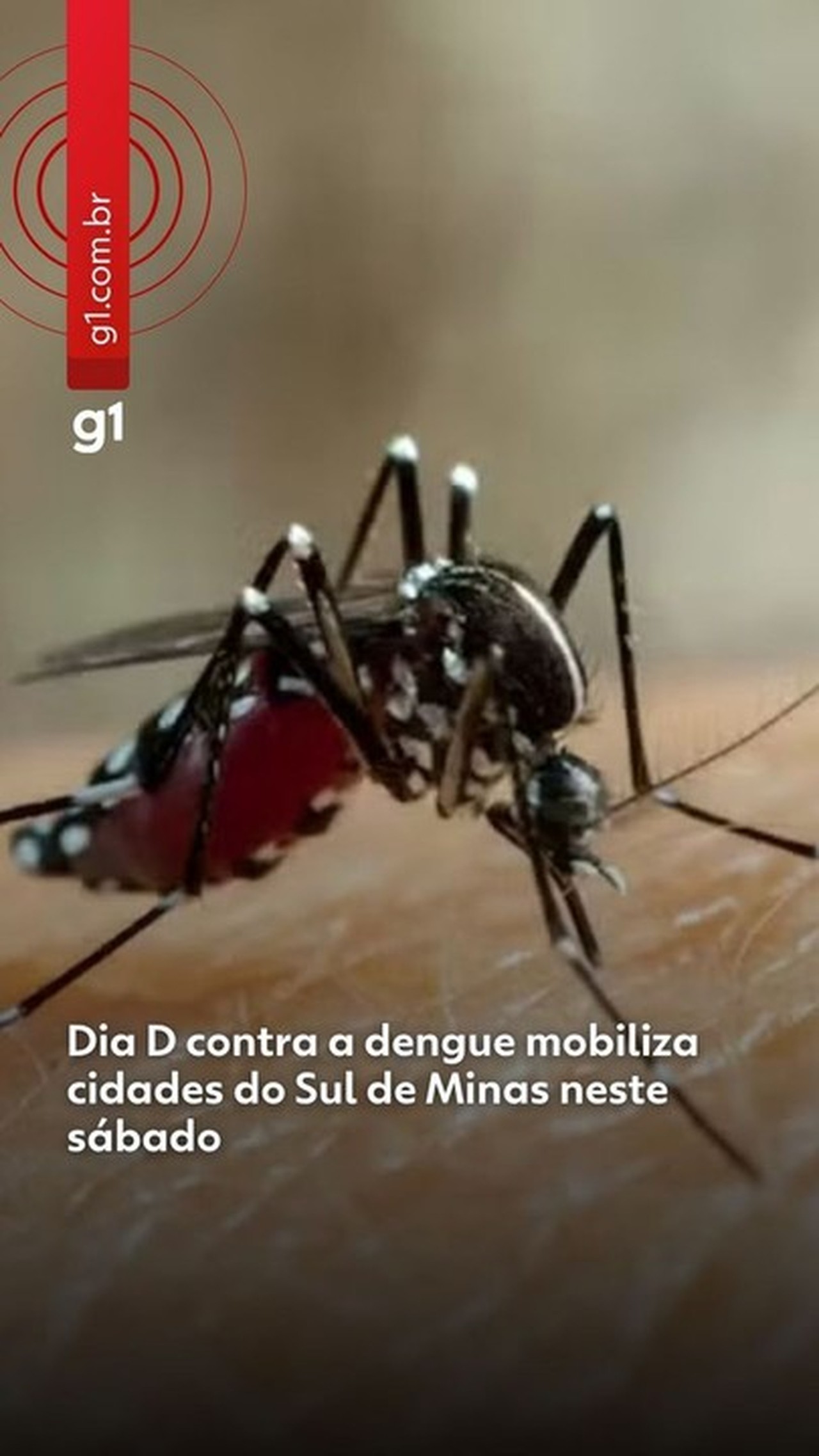 Dia D contra a dengue: campanha da EPTV mobiliza 98 cidades do Sul de Minas neste sábado