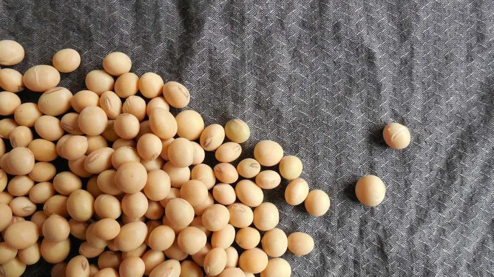 Guerra no Irã ameaça exportação de grãos e suprimento de fertilizantes do Brasil