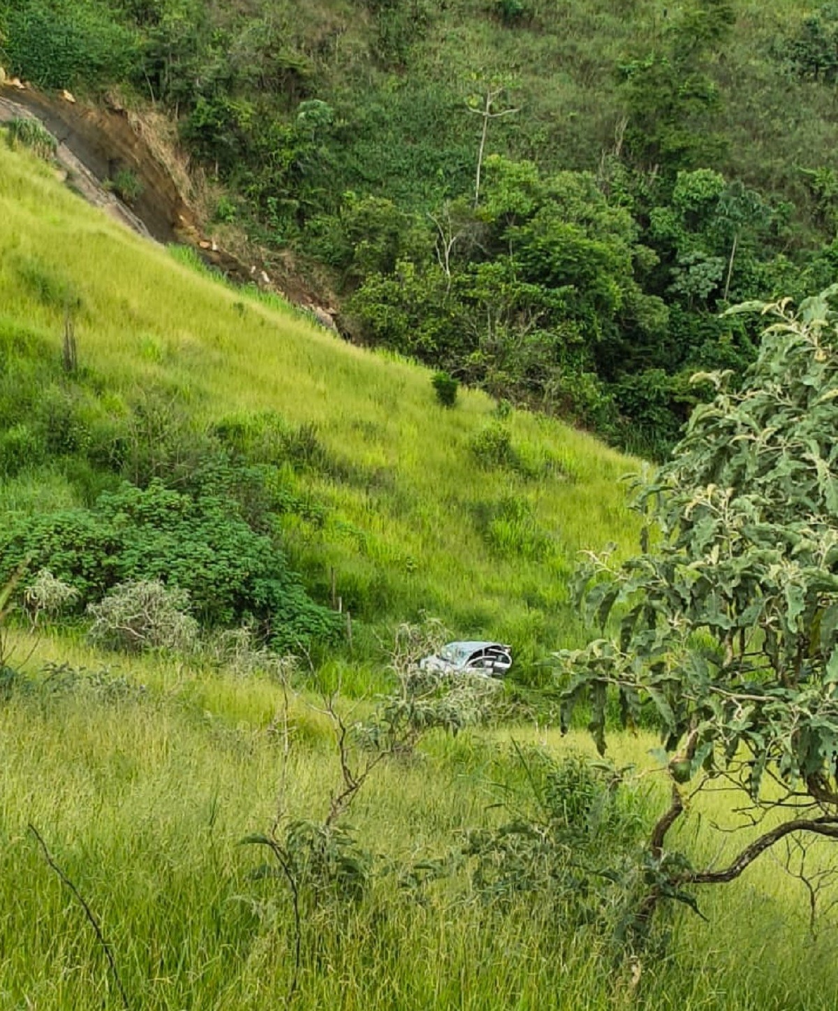 Motorista sobrevive após carro despencar de ribanceira equivalente a 30 andares em Juiz de Fora