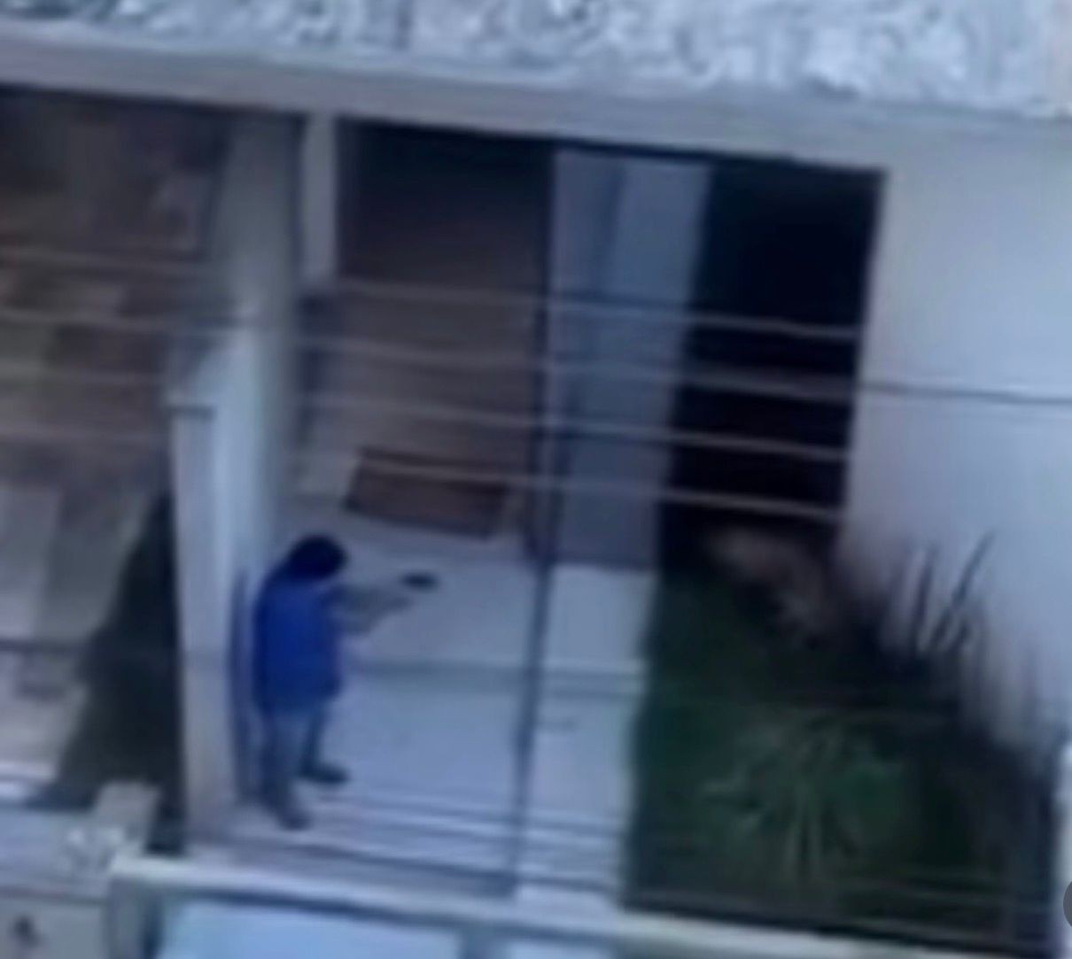 Homem que matou cachorro da família com 14 tiros paga fiança de R$ 20 mil e é solto em MG