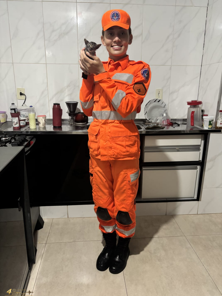 Bombeiros resgatam gato preso em tubulação no centro de Alfenas