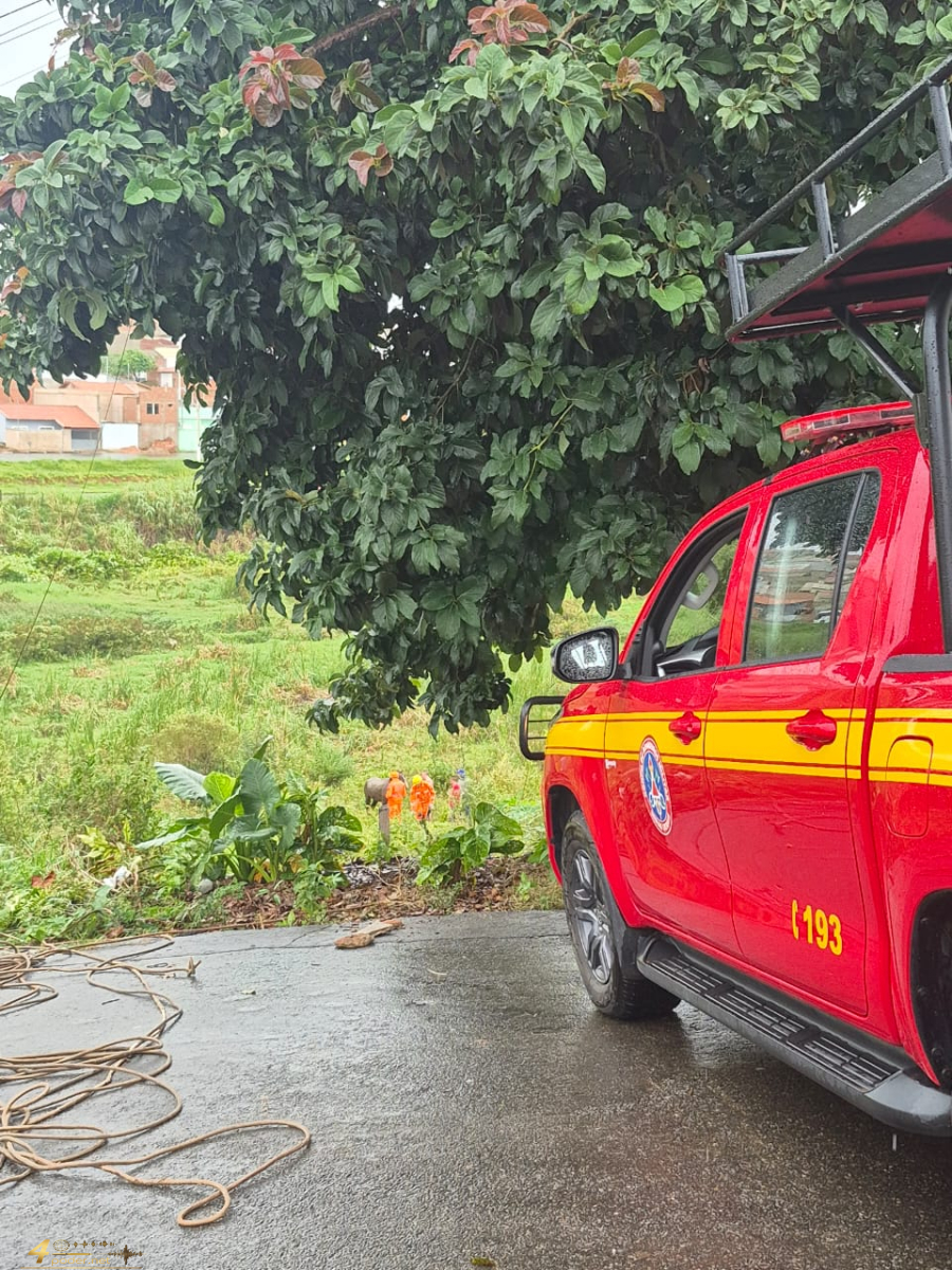 Bombeiros resgatam animais em quatro ocorrências no Sul de MG