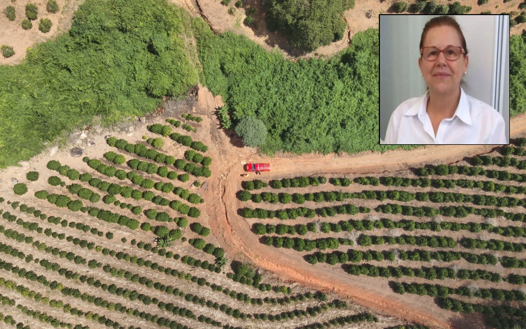 Veja o que se sabe e o que ainda falta esclarecer sobre a farmacêutica que saiu de SP e foi encontrada morta em MG