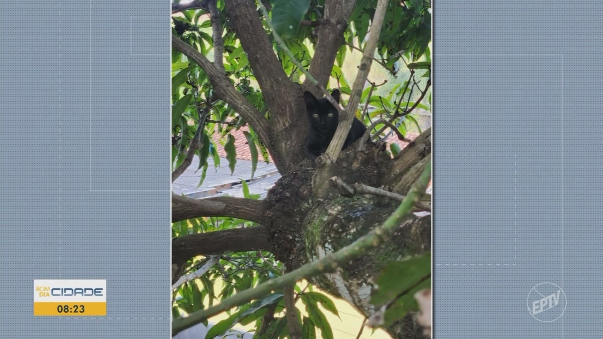 VÍDEOS: Bom Dia Cidade Sul de Minas de sexta-feira, 24 de abril de 2026