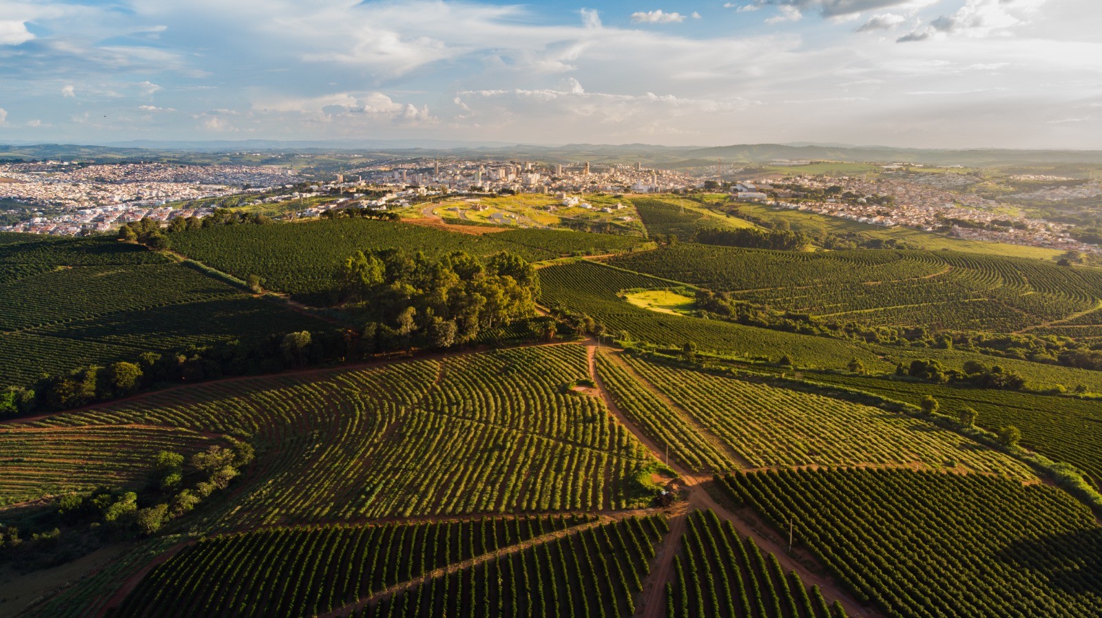 Café mineiro avança para ser reconhecido como paisagem cultural do estado