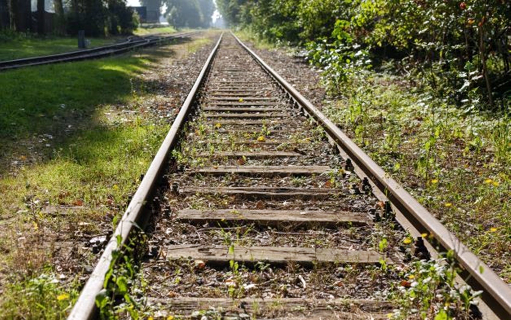 ANTT aprova etapa de projeto ferroviário que pode conectar Sul de Minas ao Porto de Angra, no RJ