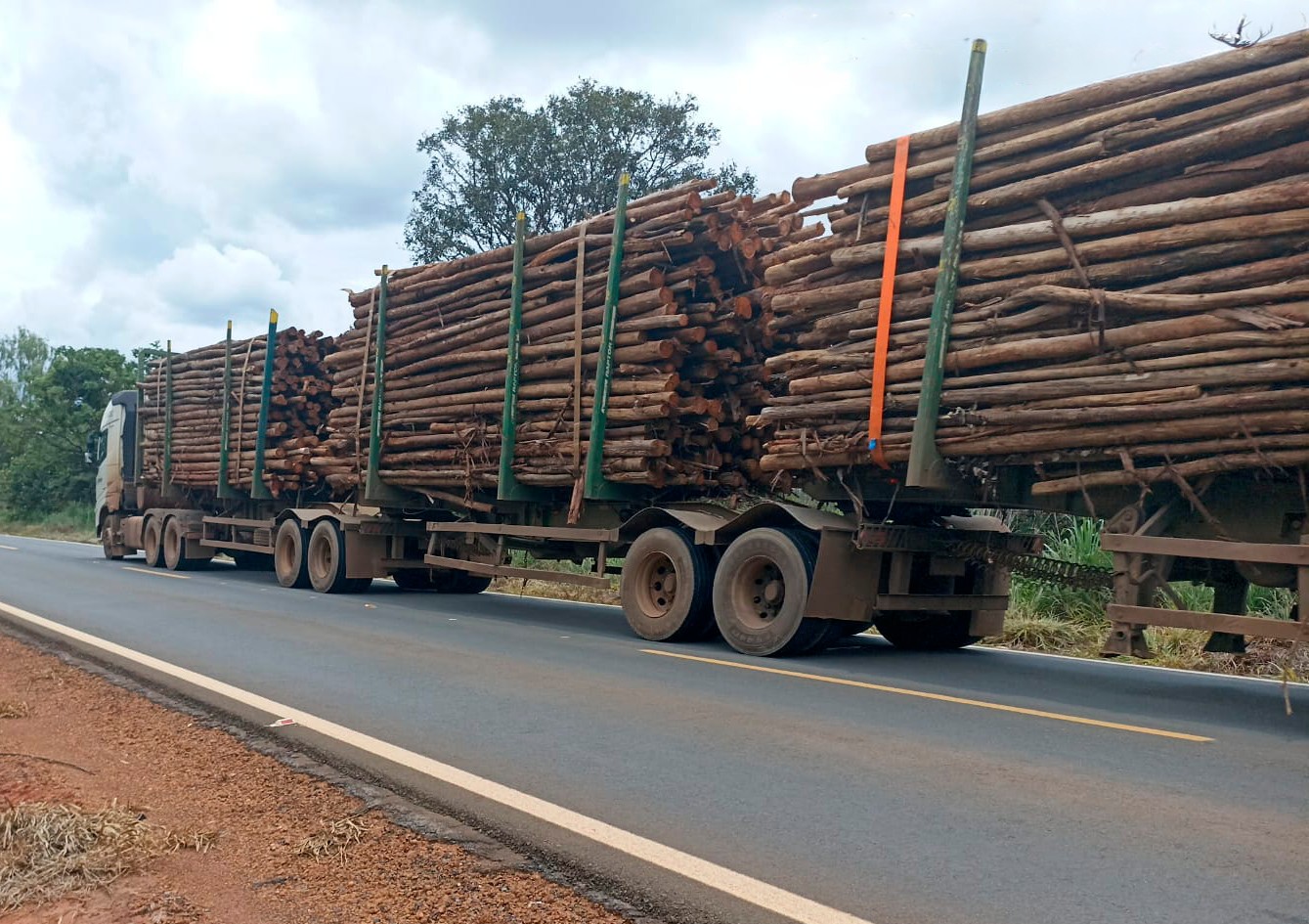 Circulação de veículos pesados está proibida na MGC-259