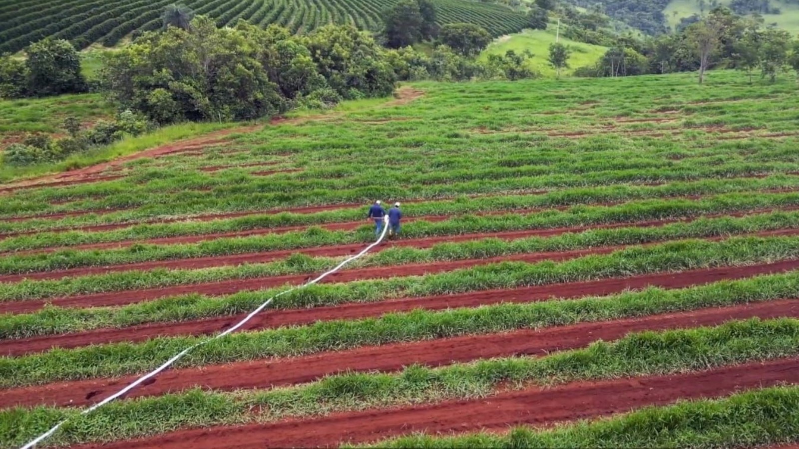 IrrigaNet amplia acesso à irrigação para pequenos produtores cooperados