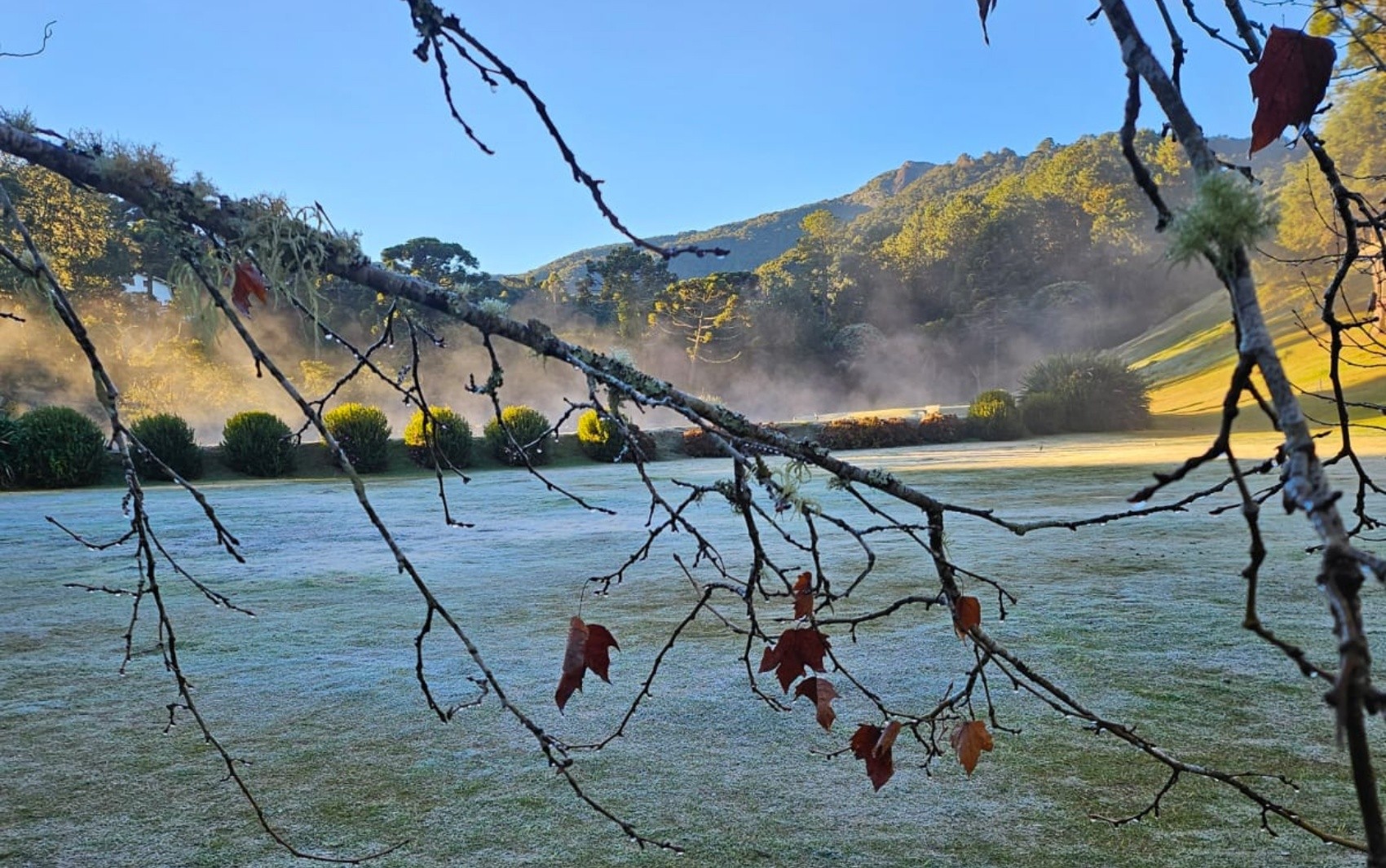 Serra da Mantiqueira registra manhã gelada de inverno com 1,3°C em Monte Verde, MG
