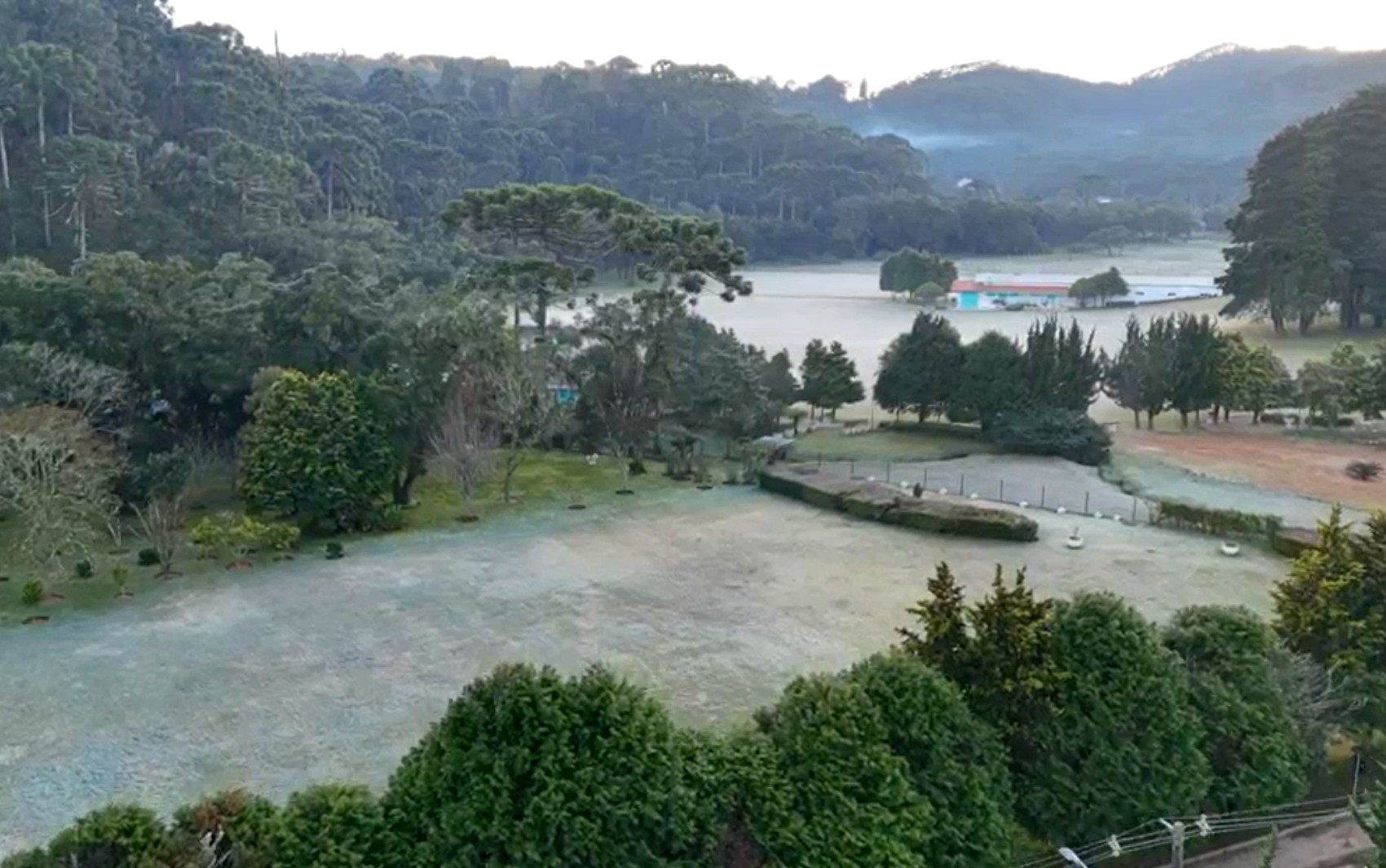 FOTOS: Geada cobre áreas do Sul de Minas durante amanhecer frio; veja as mínimas