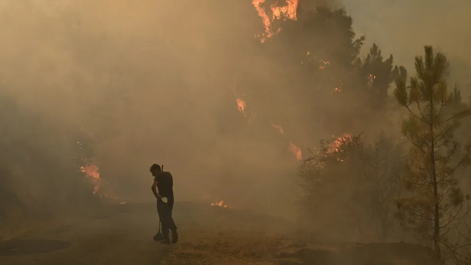 Incêndio atinge floresta e afeta rodovia e trens perto de Paris