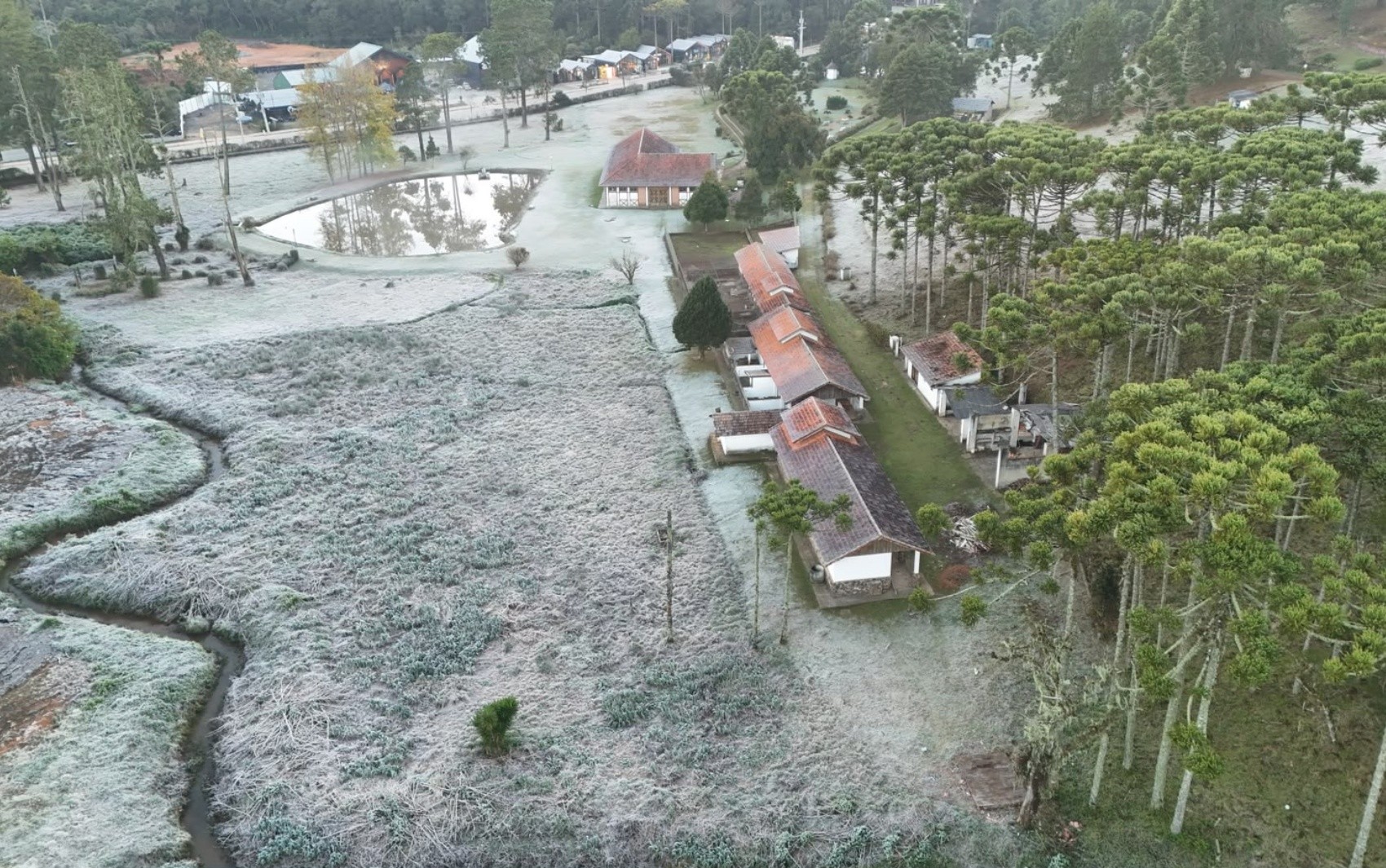 FOTOS: Frio persiste com geada e temperaturas abaixo de zero no Sul de Minas