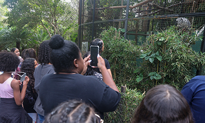 Crianças e adolescentes acolhidos institucionalmente visitam o zoo de BH
