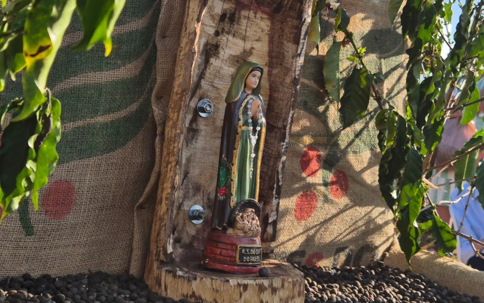 Padroeira dos cafeicultores: conheça Nossa Senhora do Café, santa celebrada no Sul de Minas