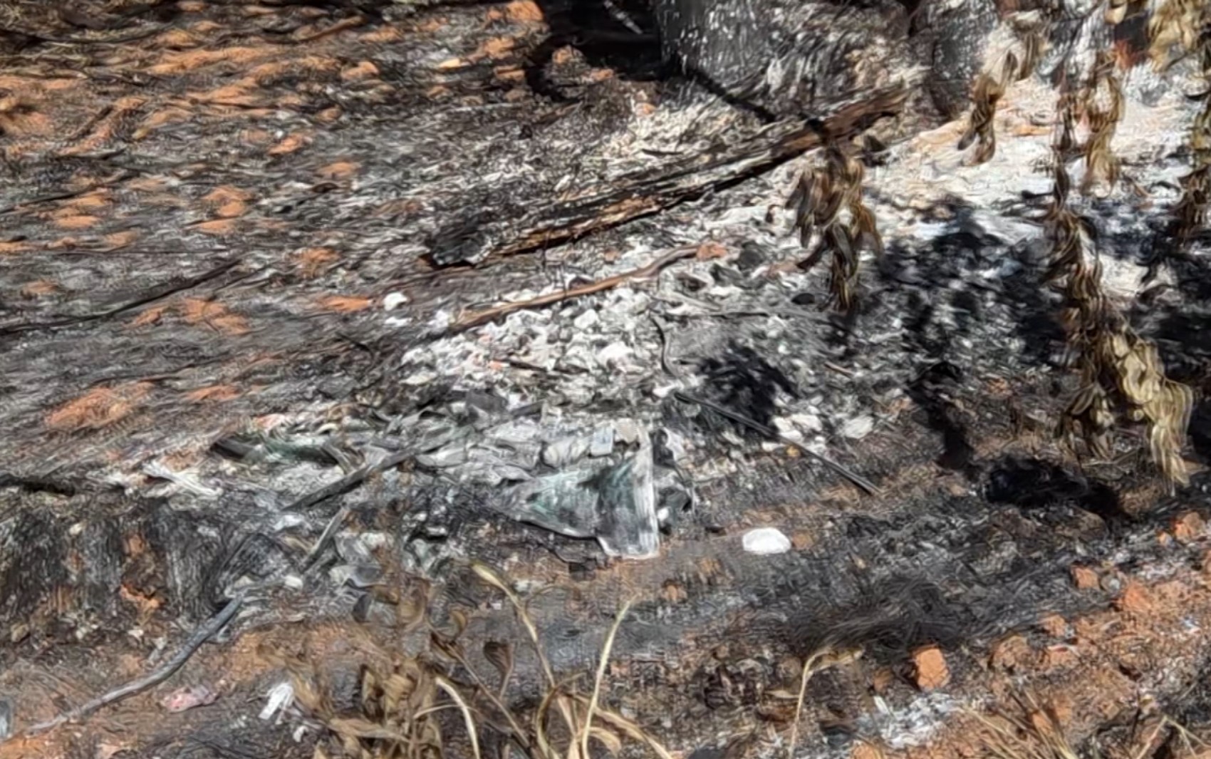 Exames tentam identificar corpo após carro ser encontrado carbonizado em MG; vítima pode ser enfermeira
