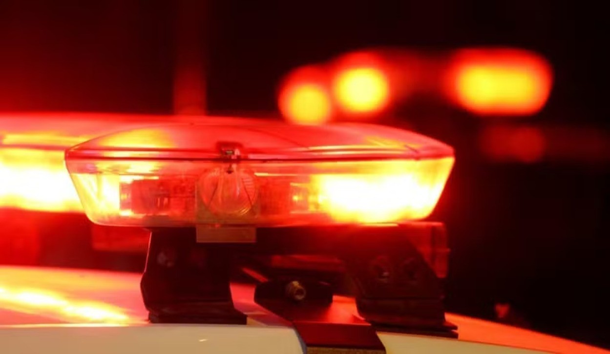 Cinco cães são encontrados mortos em Porteirinha